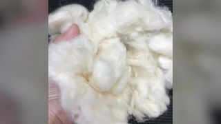 Fibra di graffetta Lyocell 70J 6D×51MM, fibra Lyocell che assorbe l'umidità ecologica per l'abbigliamento
