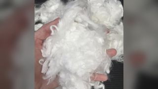 Fibra di accumulo di energia a cambiamento di fase 2D × 25 mm, fibra di fiocco liscia trattata con olio di silicio per riempimenti tessili