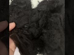 Fibra cava 2D riciclata nativa da 2,5D*64mm