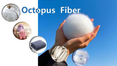 Ultime notizie aziendali su Octopus Fiber esplora attivamente il mercato internazionale, raggiungendo una crescita costante dei ricavi da esportazione