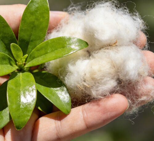 Ultime notizie aziendali su Fibre vuote bianche e nere: la scelta preferita per la produzione tessile e industriale