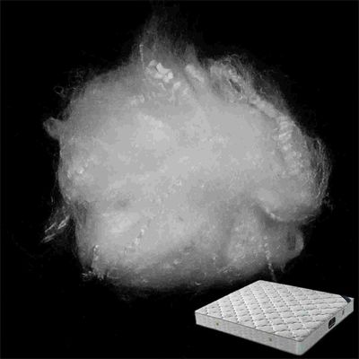 Un buon prezzo. Poliestere naturale non tossico e rispettoso dell'ambiente FPS morbido per filatura in linea