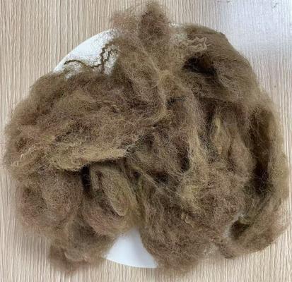Un buon prezzo. Fibra Staple di poliestere riciclata a bassa allungatura 25D 65mm Colore profondo cammello in linea