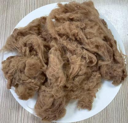 Un buon prezzo. Fibra di poliestere riciclato in fiocco 1.5D 38mm Light Camel in linea