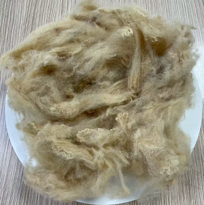 Un buon prezzo. Fibra di poliestere riciclato 6D 51mm Beige ad alta tenacità in linea