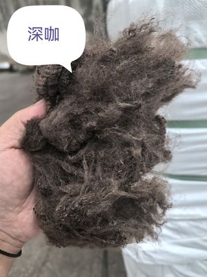 Un buon prezzo. Fibra di poliestere riciclato a fiocco 3D 51mm Caffè scuro in linea