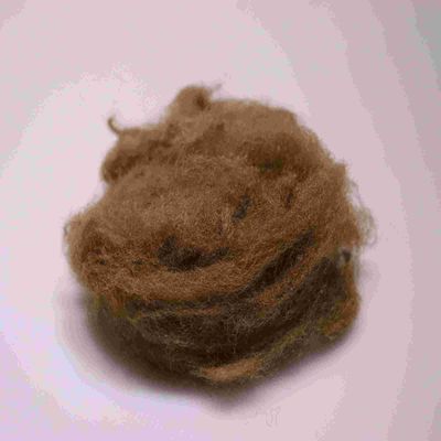 Un buon prezzo. Eco-friendly 4080 Polyester Fibre di base Marrone Comodo Polyester Fibra corta in linea