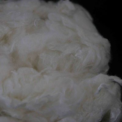 Un buon prezzo. Fibra viscosa ignifuga personalizzabile 4.44D fibra vergine resistente al fuoco in linea