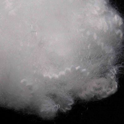 Un buon prezzo. Fibra di poliestere solido a base di fibre di cotone rigido e vuoto a bassa fusione 15D 64mm in linea