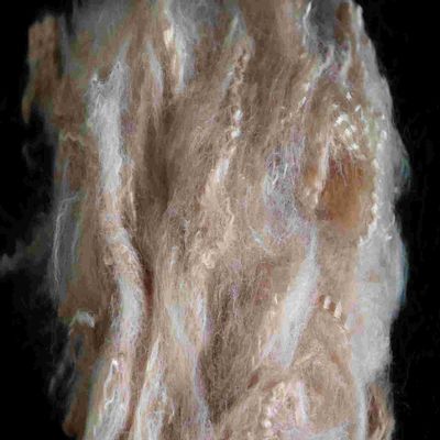 Un buon prezzo. Fibra di base di poliestere riciclata ad alta resistenza a trazione Palma marrone per tessile in linea