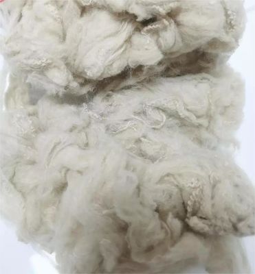 Un buon prezzo. 6D poliestere fibre staminali buona resistenza agli impatti non siliconizzato fibra tessile sintetica per le vostre esigenze in linea