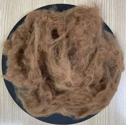 Un buon prezzo. Fibra di poliestere riciclata 2.5D 51mm Caffè in linea