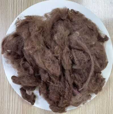 Un buon prezzo. Caffè scuro in fibra di poliestere riciclata 2.5D 51mm in linea