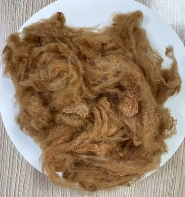 Un buon prezzo. Fibra di poliestere riciclata 2.5D 51mm giallo cammello in linea