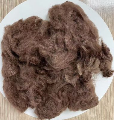 Un buon prezzo. Fibra di poliestere riciclato a fiocco 2.5D 51mm colore caffè in linea