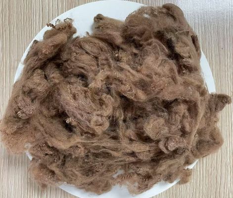 Un buon prezzo. Fibra di poliestere riciclata a fiocco 2.5D 51mm Giallo Caffè  Elevata resistenza alle pieghe in linea