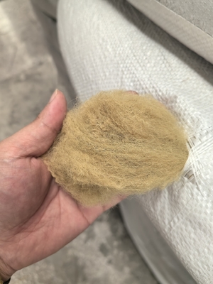 Un buon prezzo. Fibra di poliestere riciclata 6D 51mm Beige Bassa estensione in linea