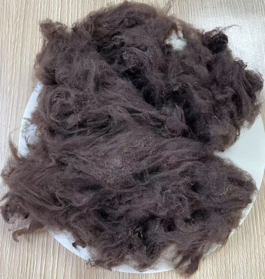 Un buon prezzo. siliconized Recycled Polyester Fiber 1.5D 38mm Dark Coffee in linea