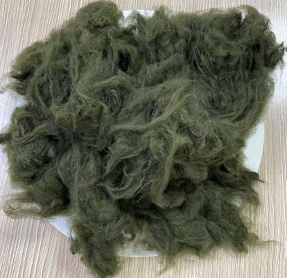 Un buon prezzo. Fibra di poliestere verde alghe tinta in massa 1.5D 38mm in linea