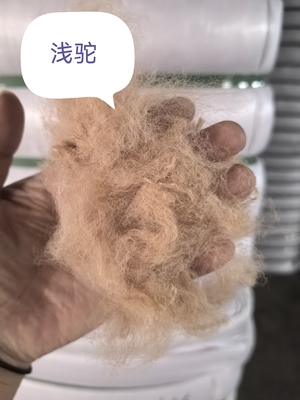 Qualità Fibra di poliestere riciclato a fiocco 3D 51mm resistente ai raggi UV fabbrica